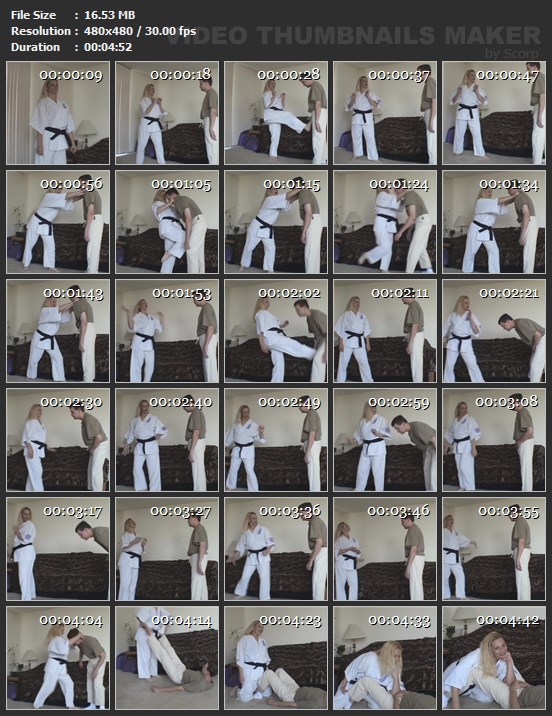 Ballbusting Karate