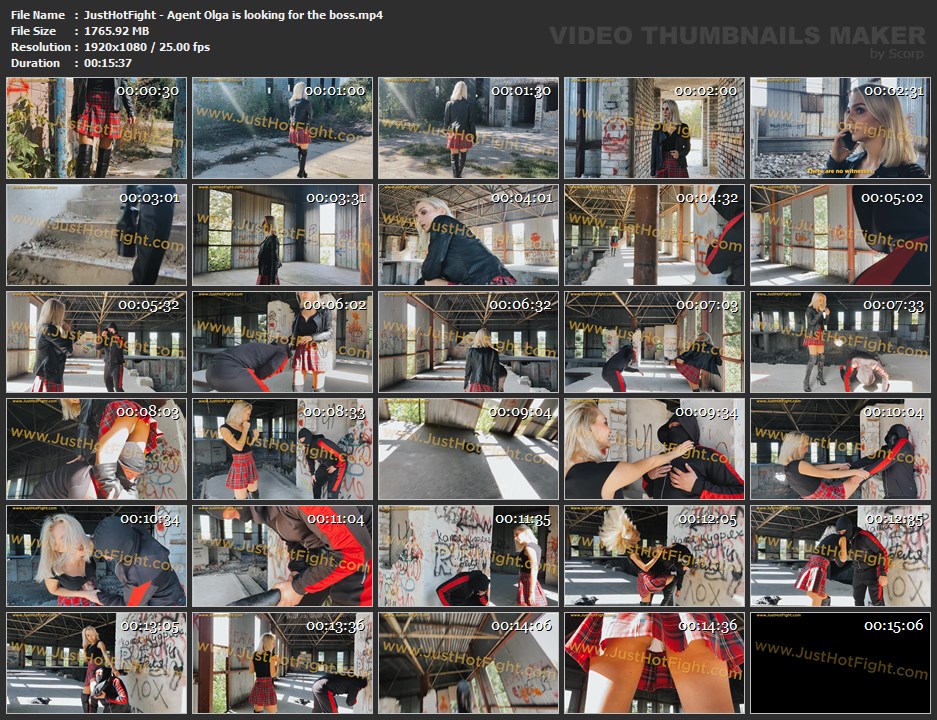 JustHotFight - Agent Olga is looking for the boss